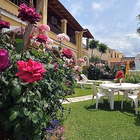 Eleni 3* Antipernoi